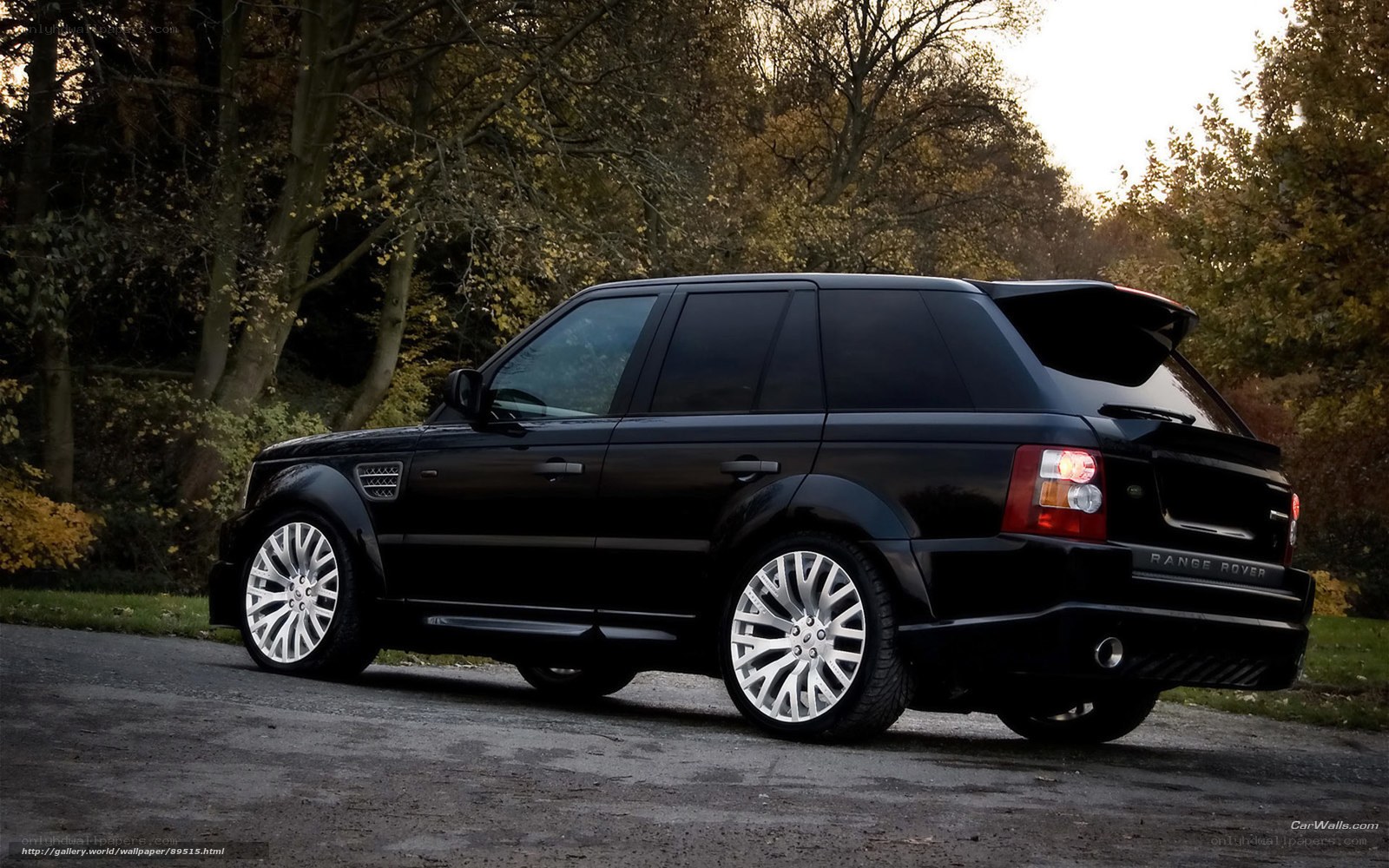 Black Range Rover in forest