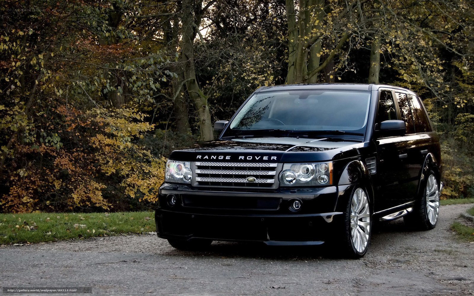 Black Range Rover in forest