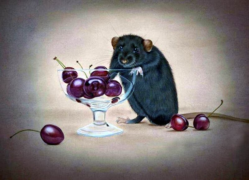 Black Rat with Cherries