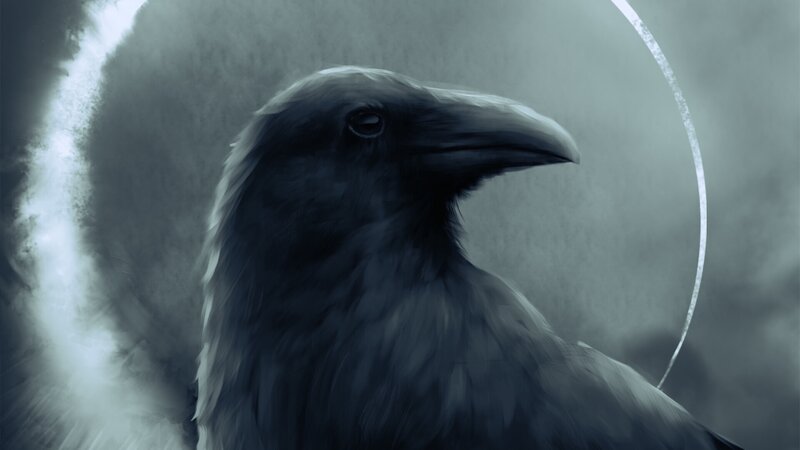 Black Raven Head — Gray
