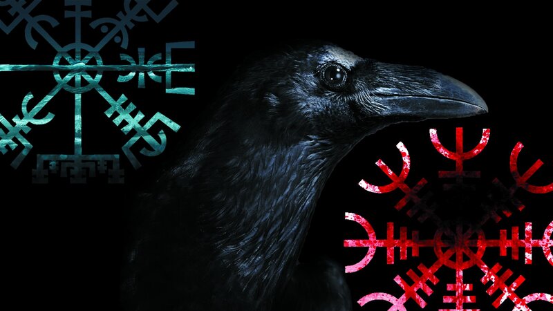Black Raven Head