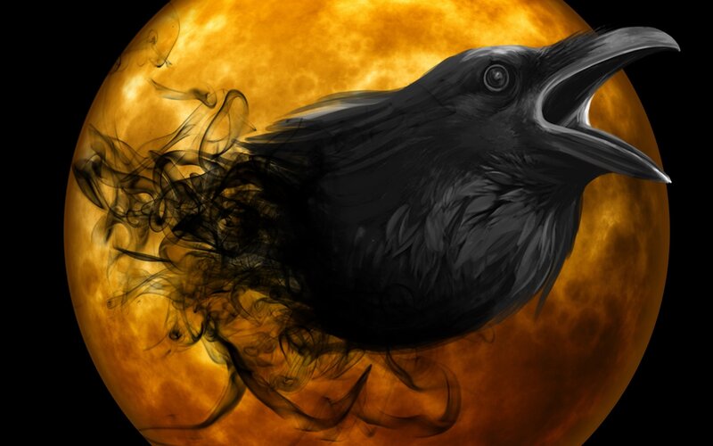Black Raven in Flight — Dramatic, Night