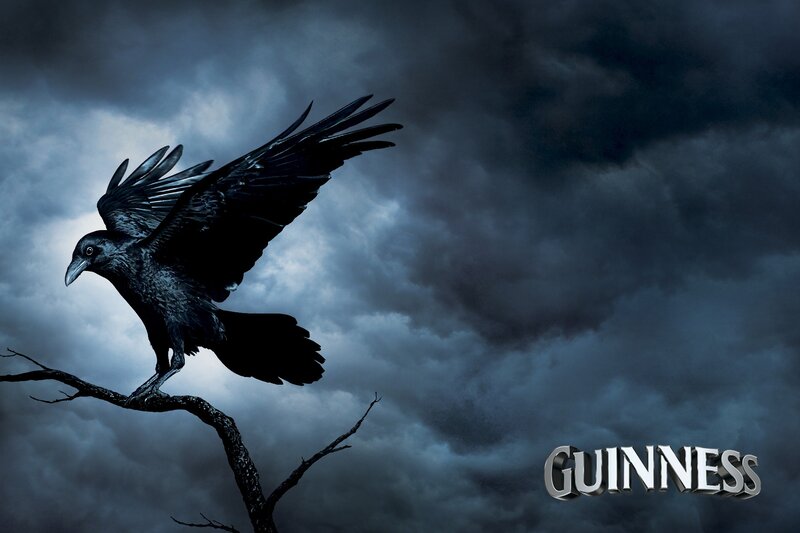 Black Raven on Branch — Dramatic