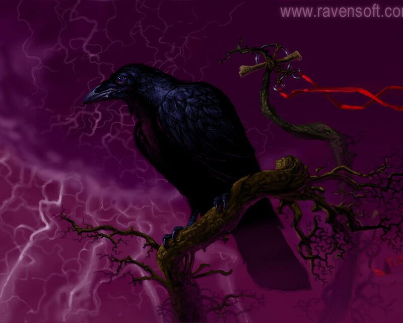 Black Raven on Branch