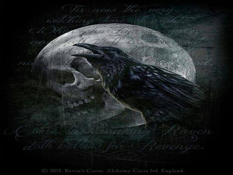 Black Raven on Skull