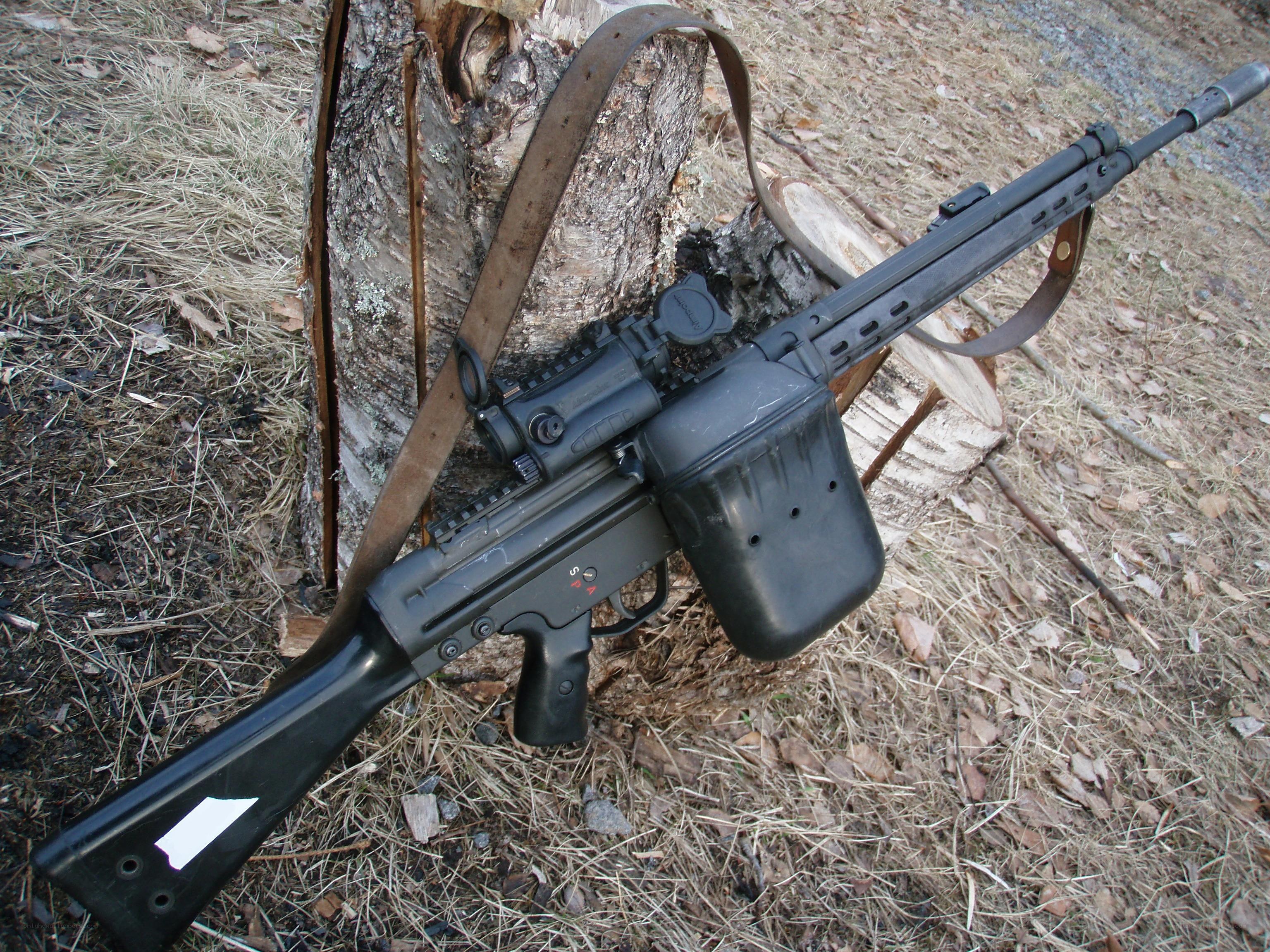 black rifle on tree