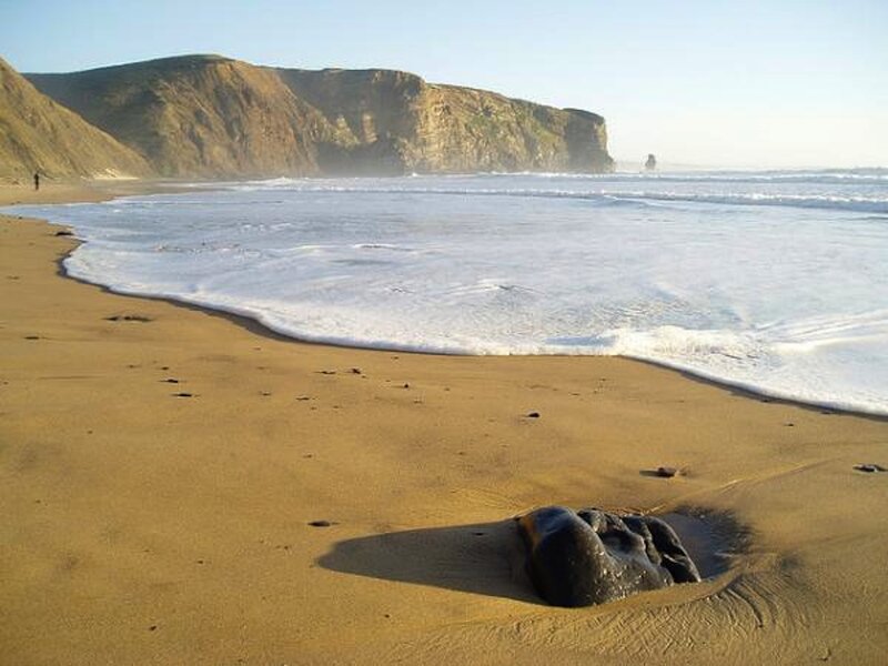 Black Rock on Beach — Brown