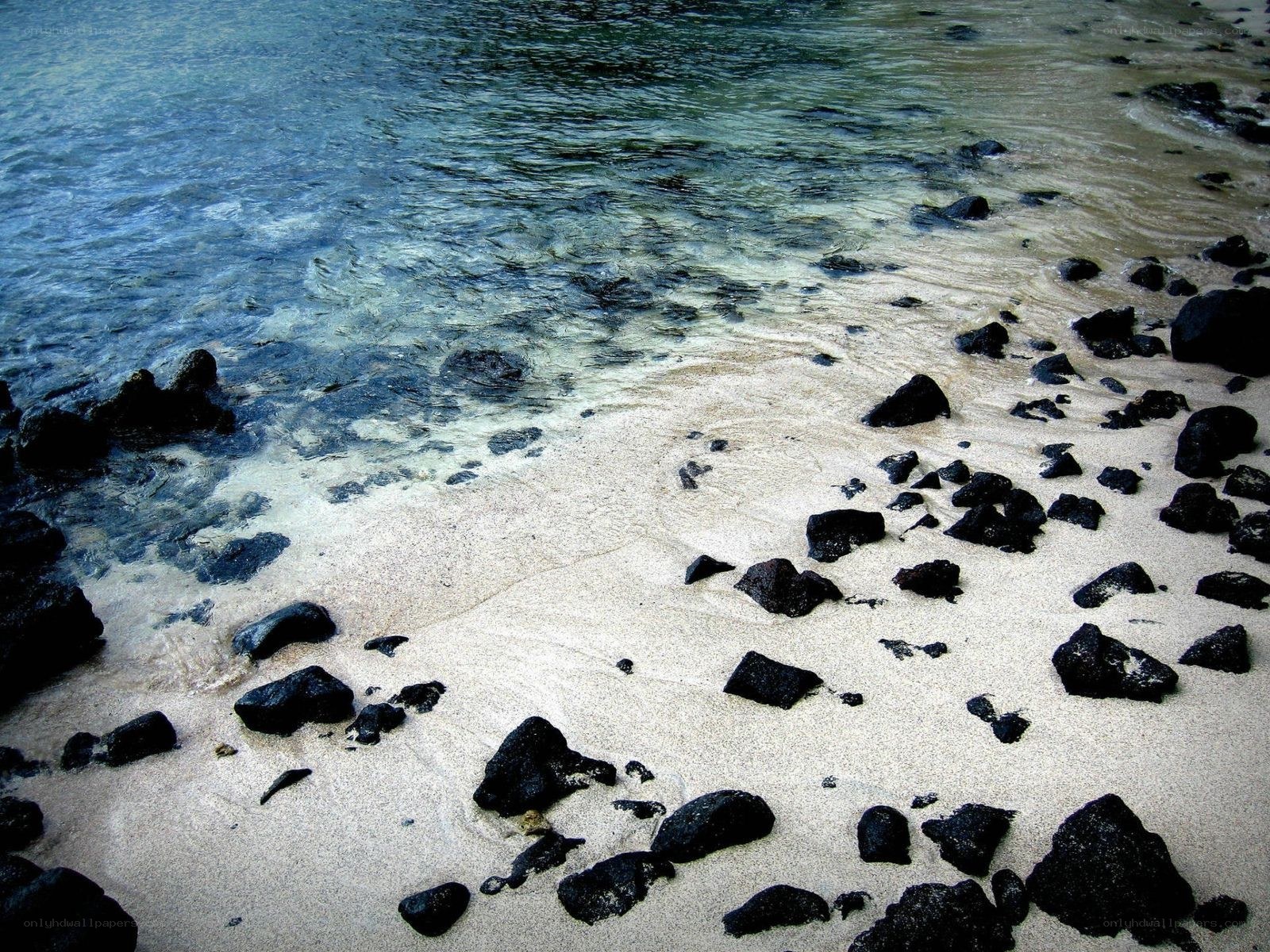 black rocks on sandy beach