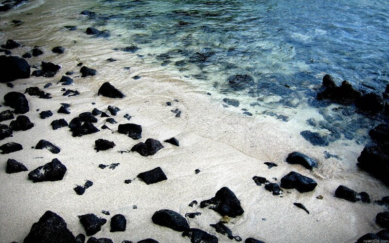 Black Rocks on Sandy Beach — Calm