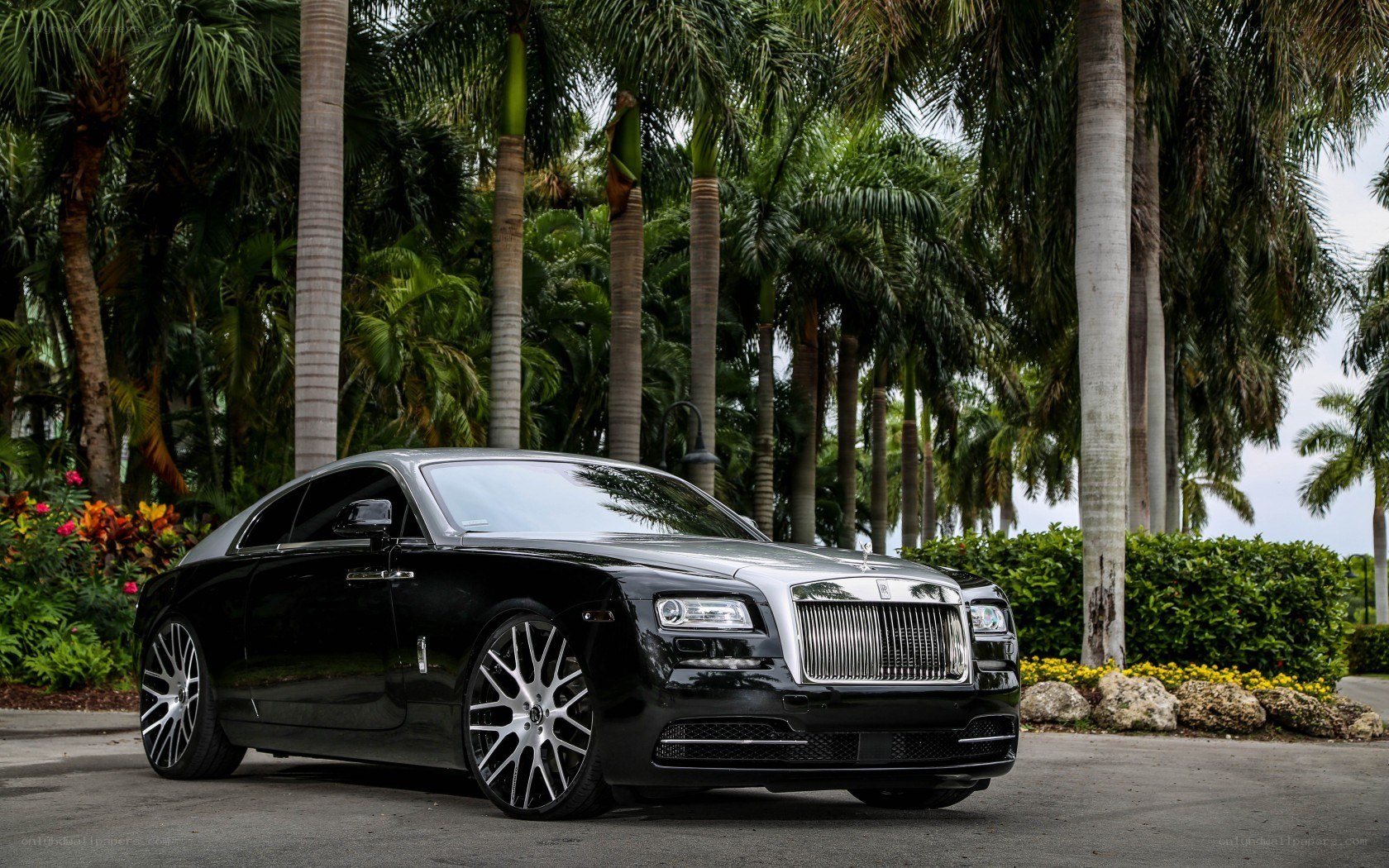 Black Rolls-Royce in tropical setting