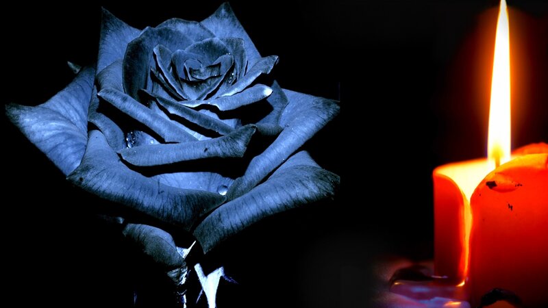 Black Rose and Candle — Blue
