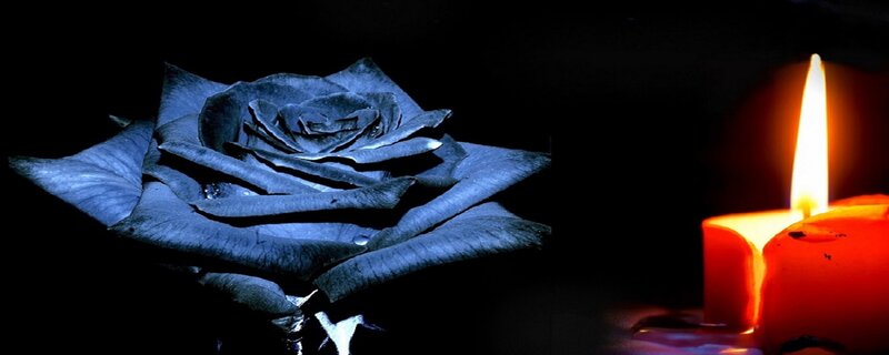 Black Rose and Candle — Dramatic