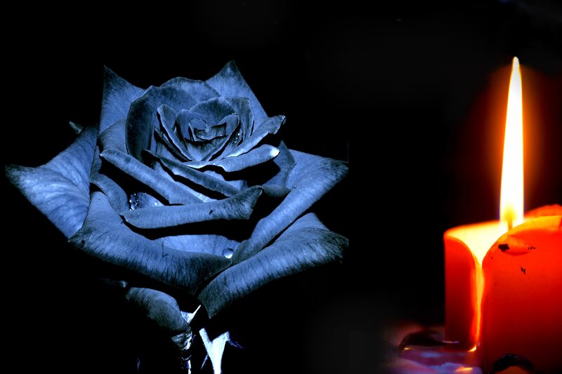 Black Rose and Candle