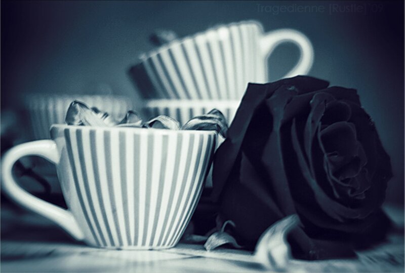 Black Rose and Cups
