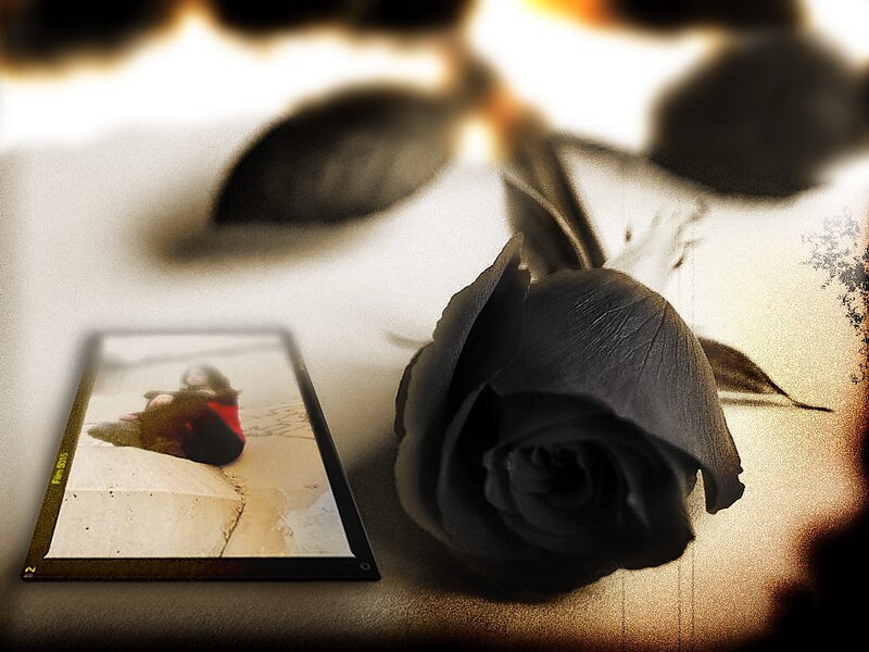 Black Rose and Photo — Somber
