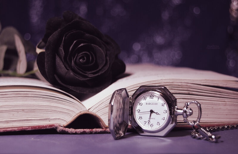 Black Rose and Pocket Watch