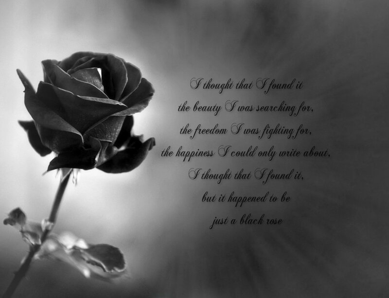 Black Rose Flower — Melancholic