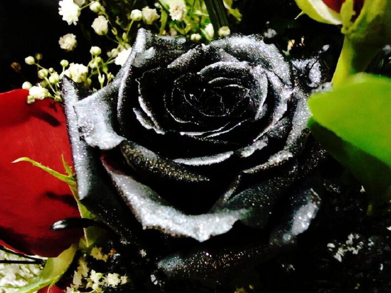 Black Rose in Bouquet