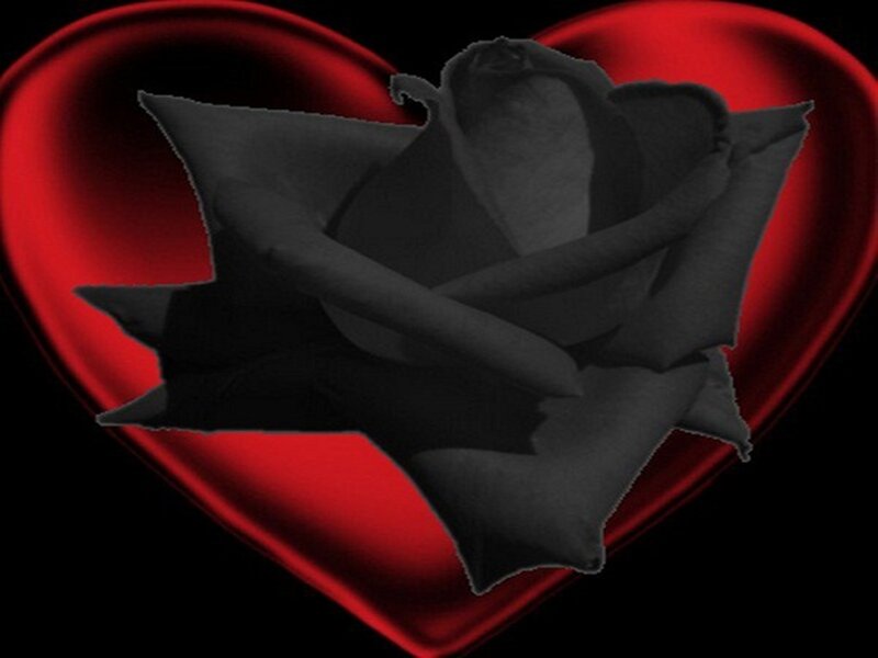 Black Rose in Heart