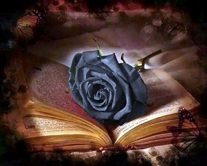 Black Rose on Book — Dramatic, Digital Art