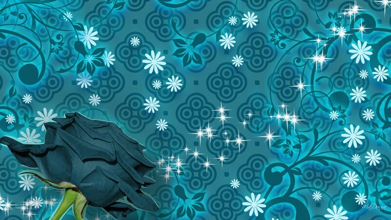 Black Rose on Patterned Background