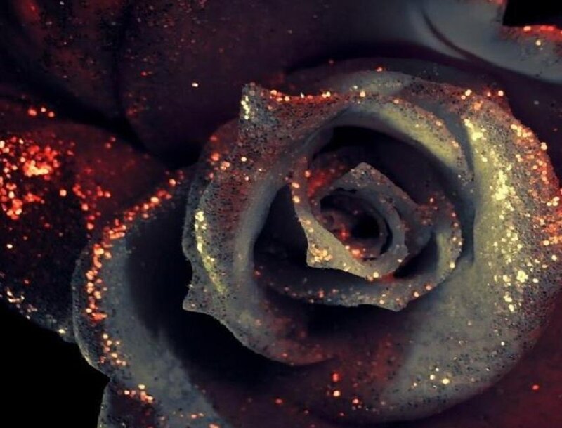 Black Rose with Glitter — Dramatic