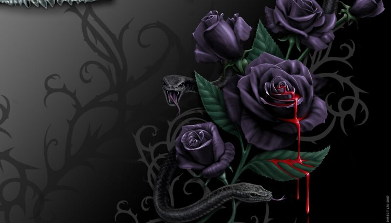 Black Roses and Snake — Dark