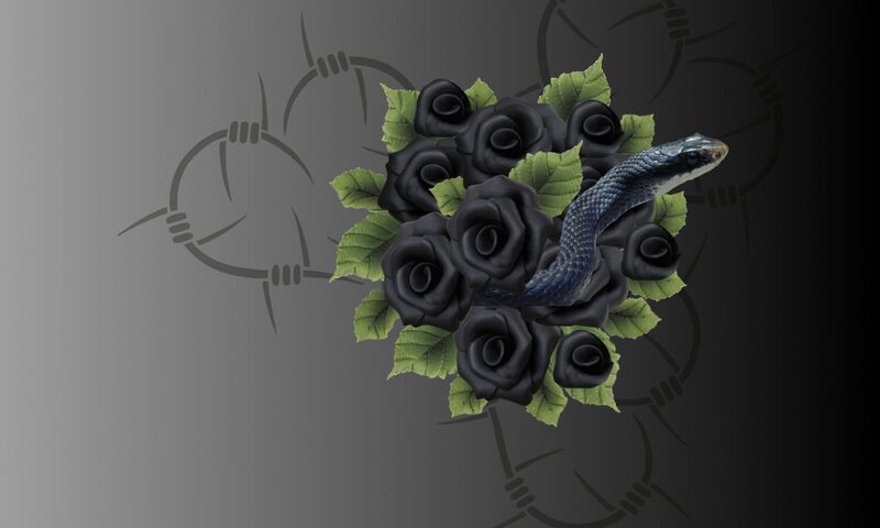 Black Roses and Snake