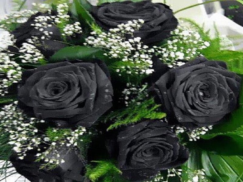 Black Roses Bouquet