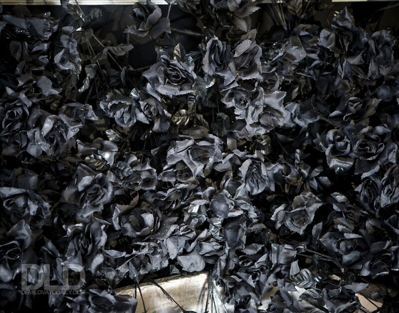 black roses in a pile