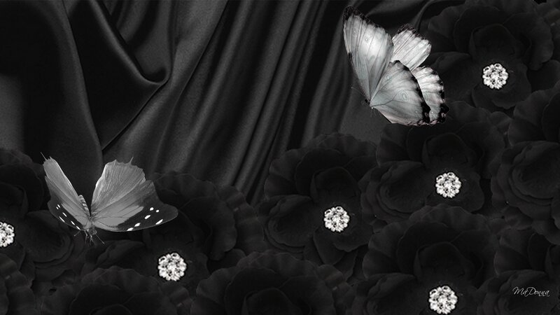 Black Roses with Butterflies