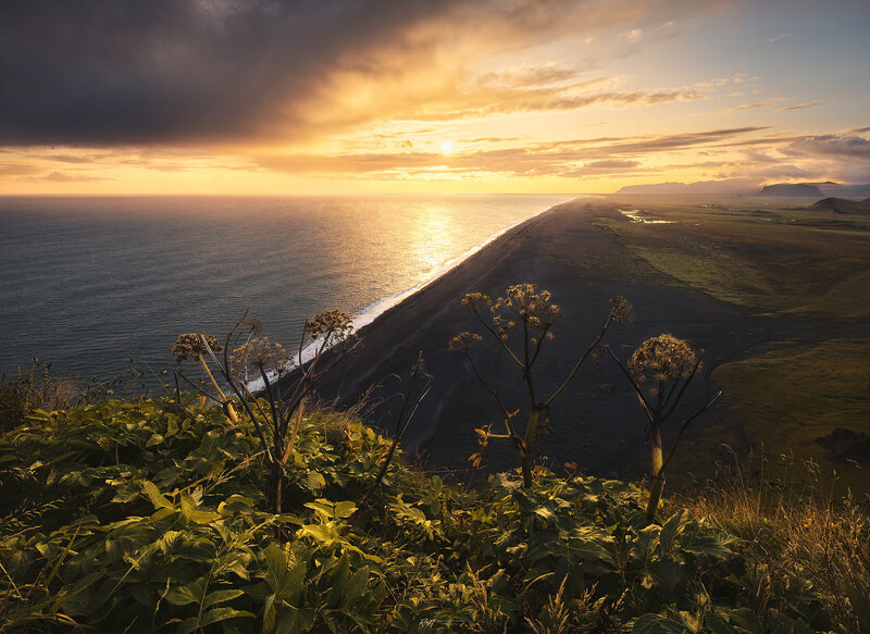 Black Sand Beach at Sunset — Yellow