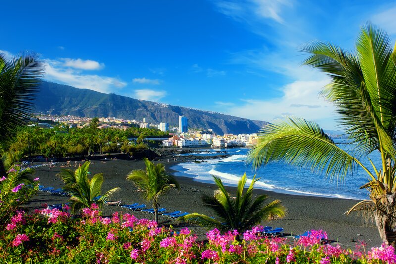Black Sand Beach — Blue, Serene, Afternoon, Photograph, Palm Trees, Flowers