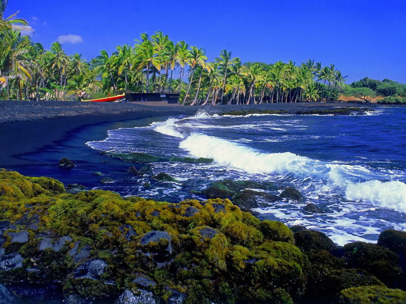 Black Sand Beach — Blue, Serene, Afternoon, Photograph, Palm Trees