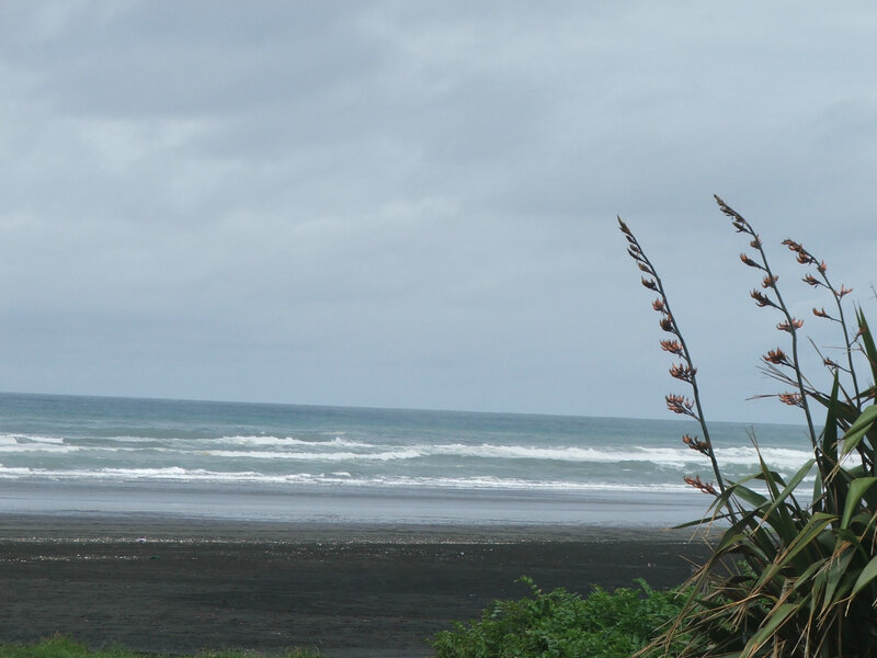 Black Sand Beach — Gray