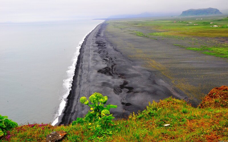 Black sand beach in Iceland