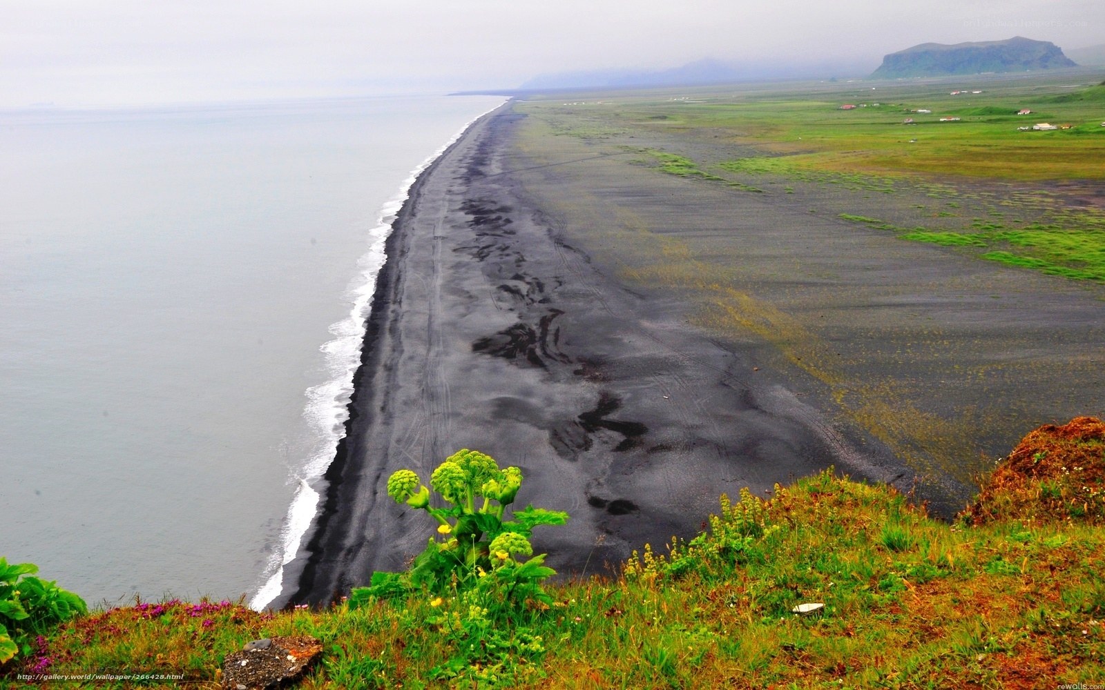 black sand beach in iceland