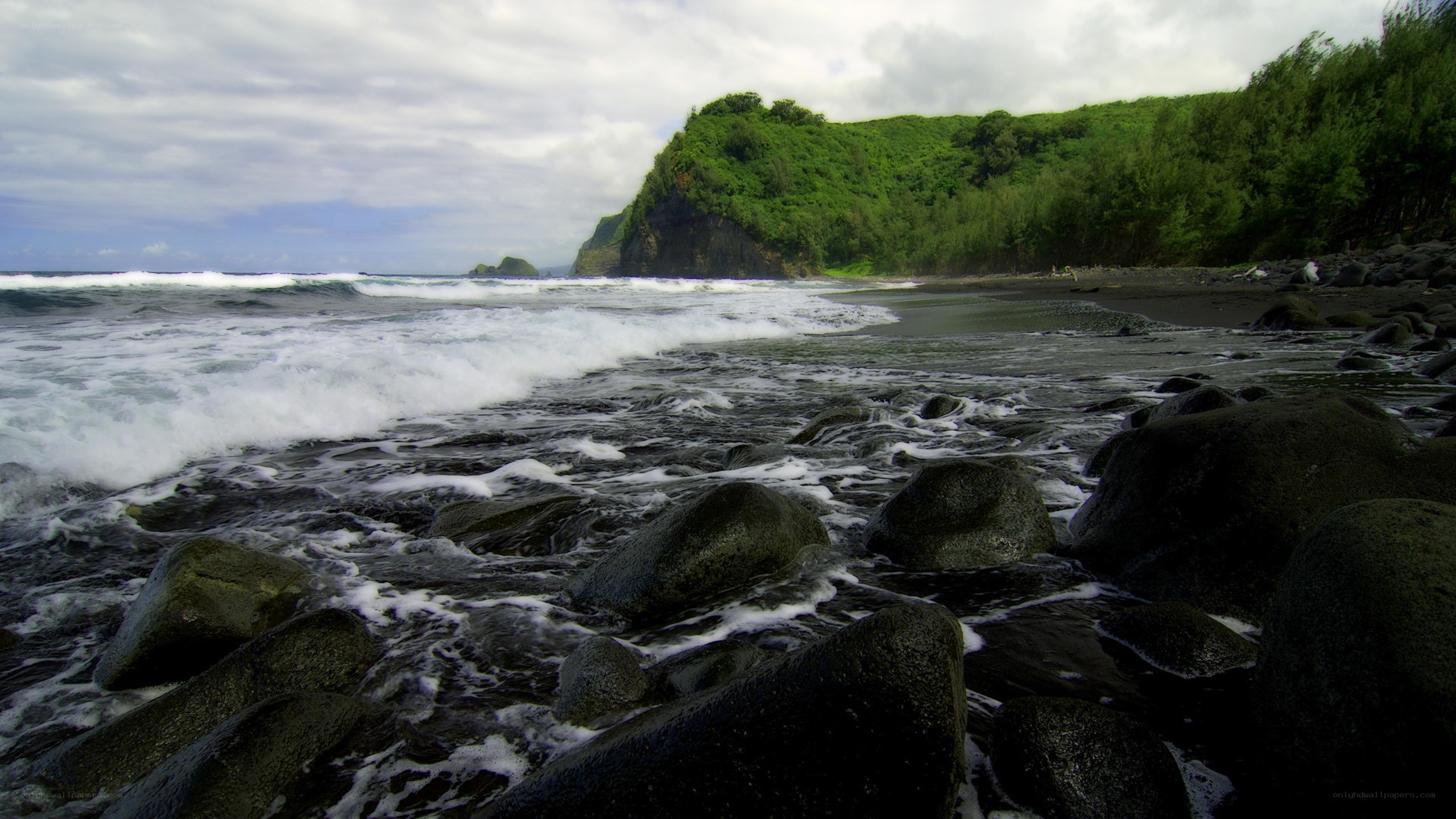 black sand beach with crashing waves
