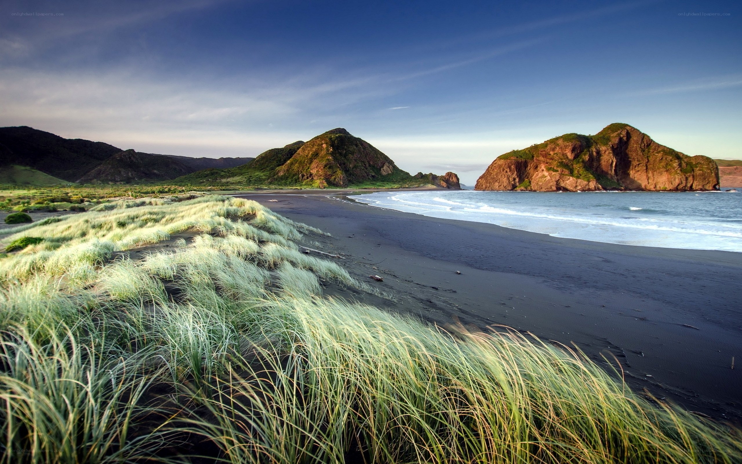 Black sand beach with dunes