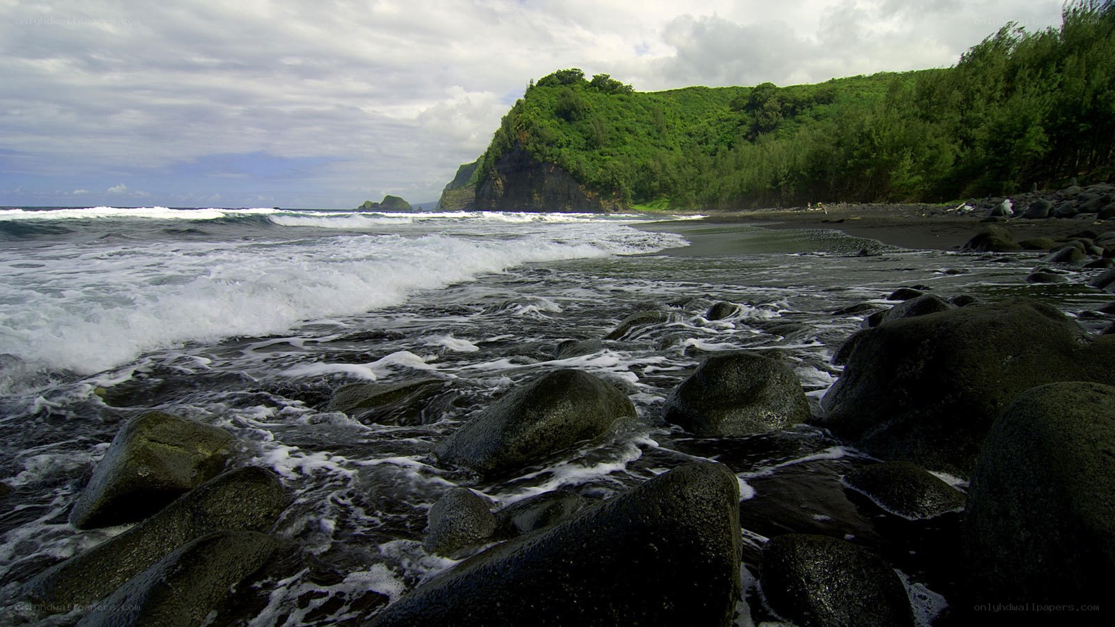 Black sand beach with green cliffs