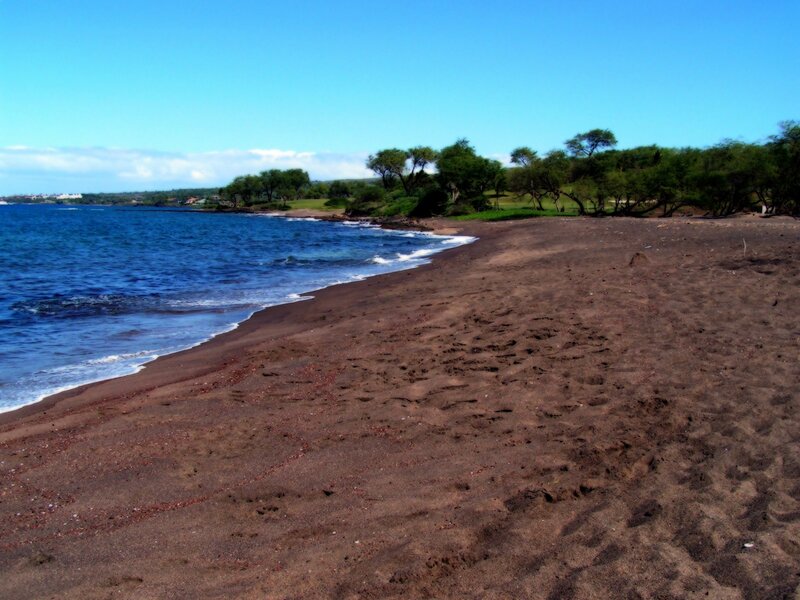 black sand beach with ocean