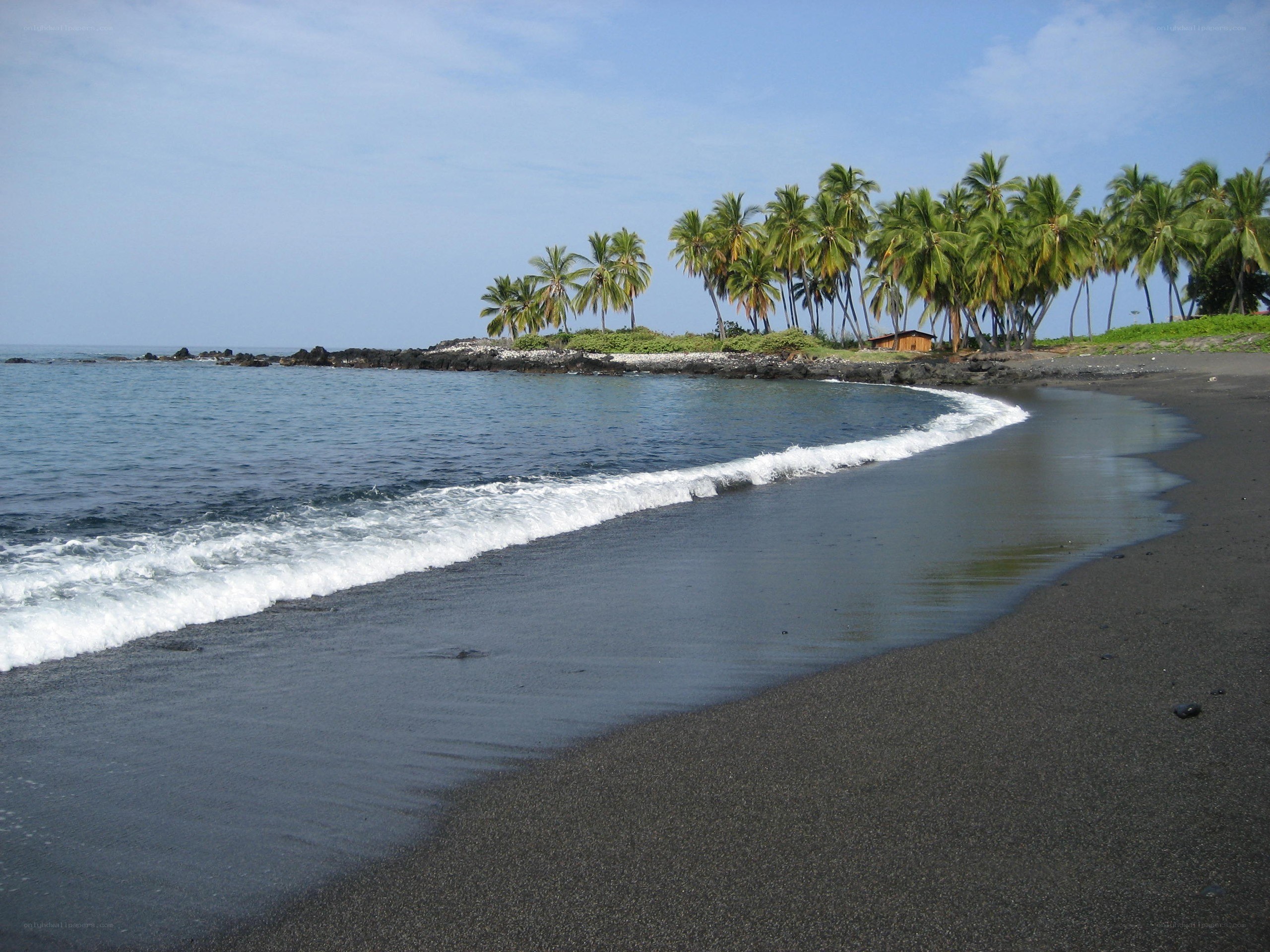 black sand beach with palm trees