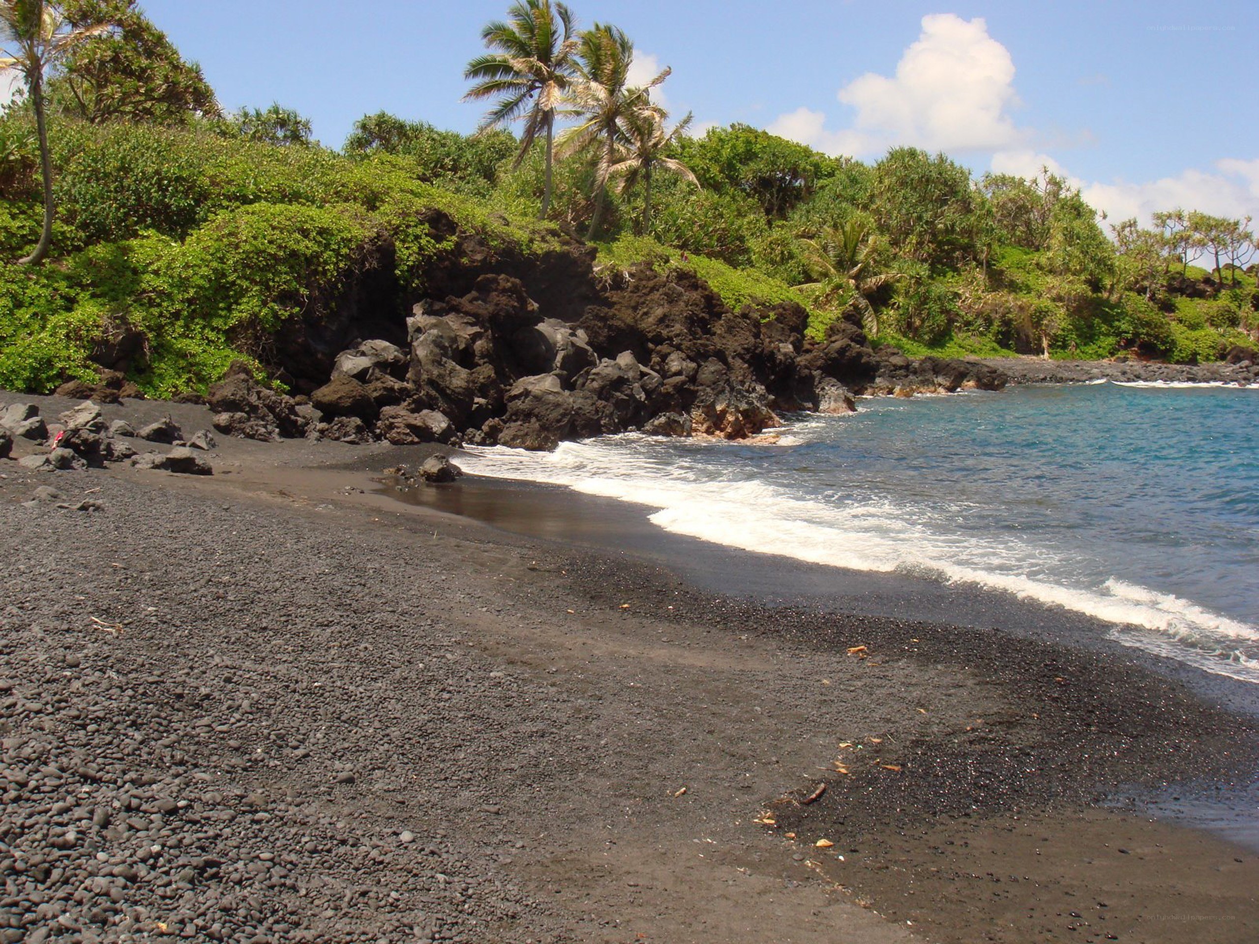 black sand beach with palm trees