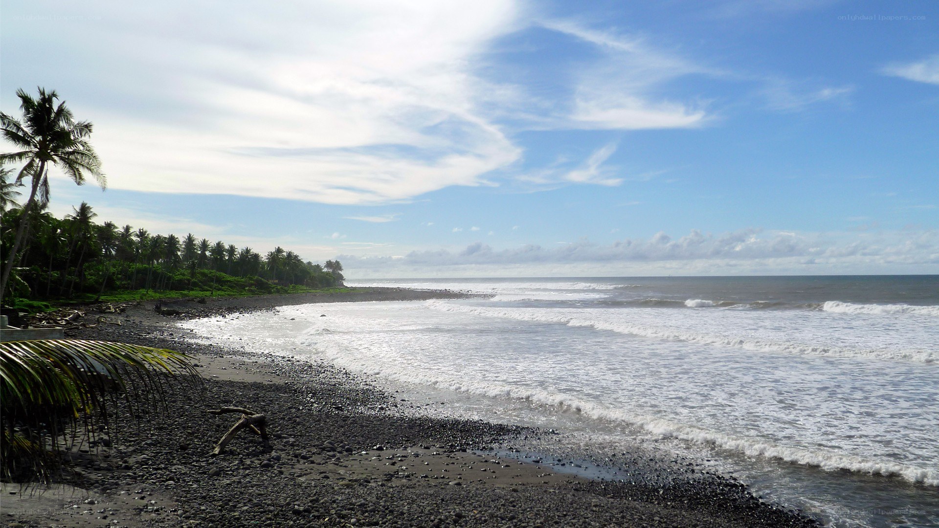 black sand beach with palm trees