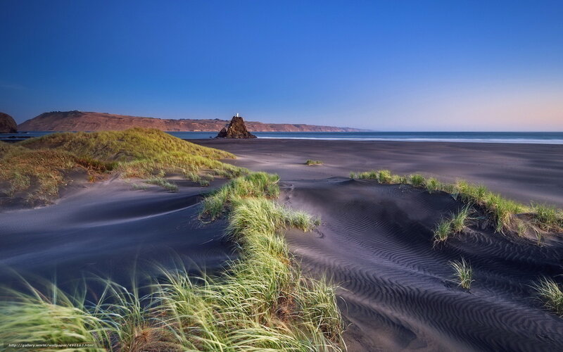 Black sand beach with sea stack