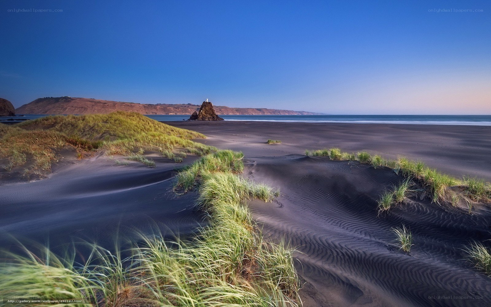Black sand beach with sea stack