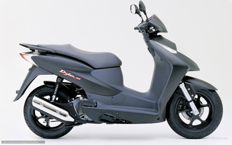 Black Scooter — Gray, Neutral, Photograph