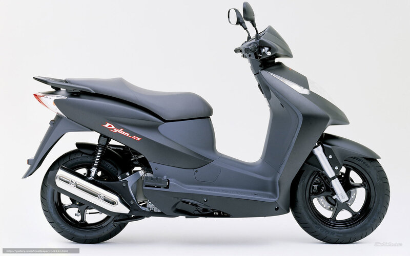 Black Scooter — Gray, Neutral