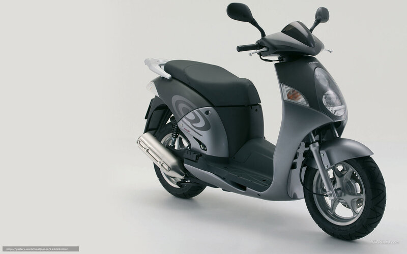 Black Scooter — Gray