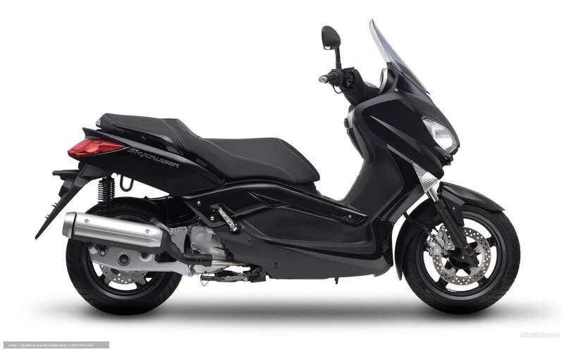 Black Scooter — Neutral, Photograph, Seat, Exhaust, Windshield